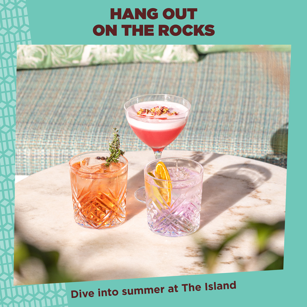 TI_Summer_Cat_Hang_1080x1080 The Island Gold Coast Cocktails Summer