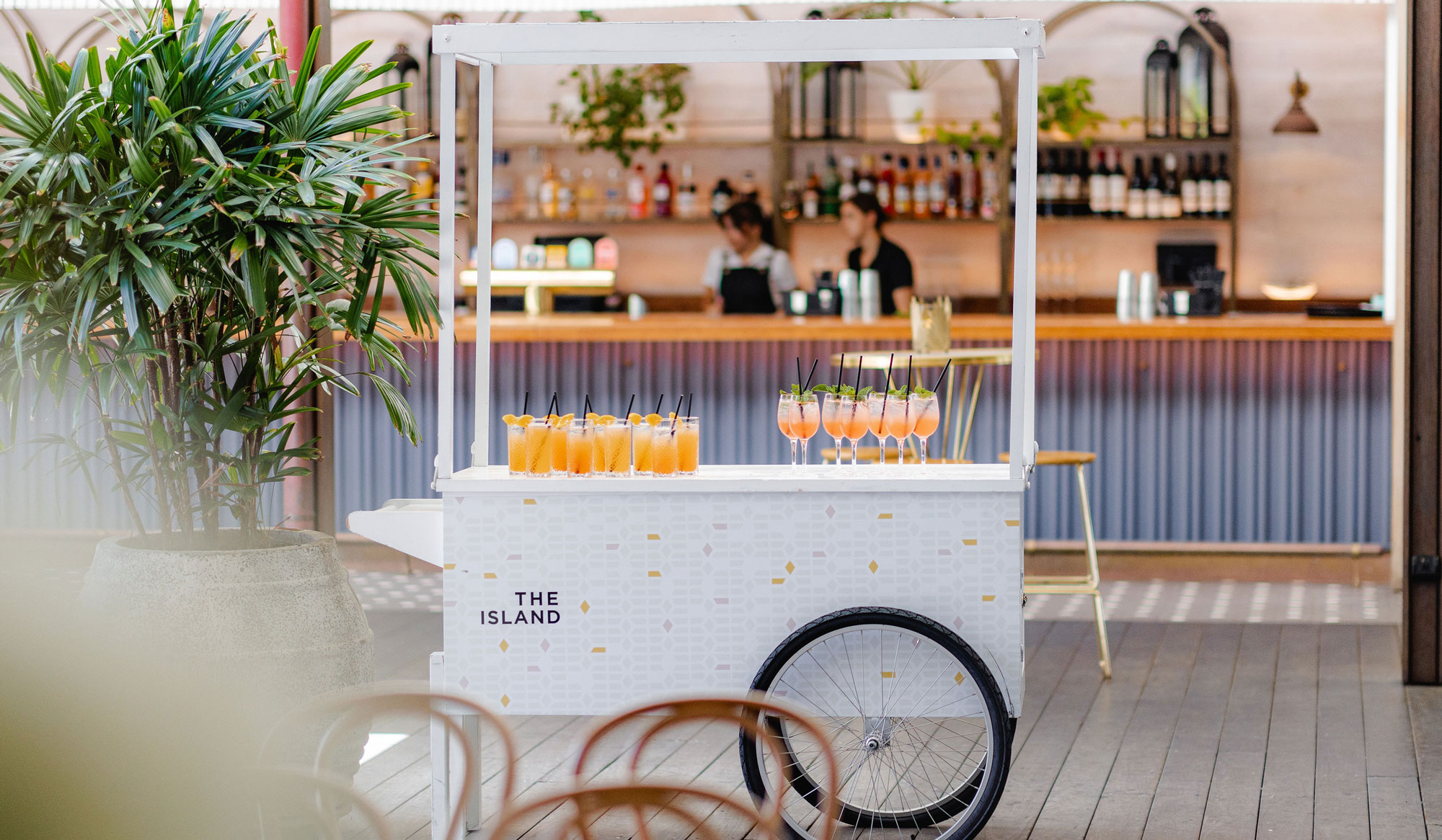 The Island Gold Coast Glasshouse School & University Events