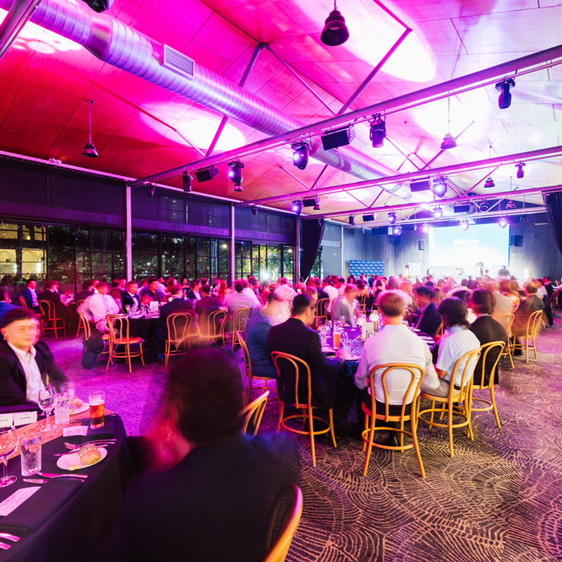 Harry's Trivia The Island Gold Coast
